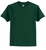 5. FMD - Hanes® - Authentic 100% Cotton T-Shirt