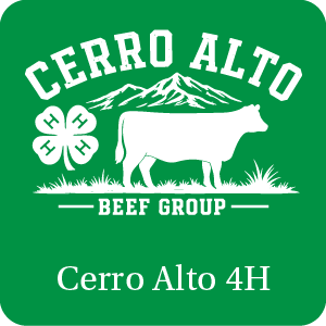 Cerro Alto 4H