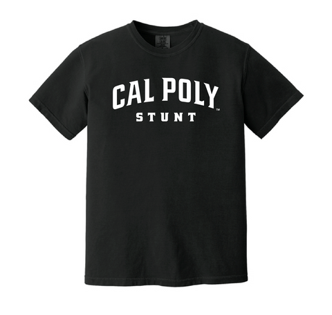 CP Stunt - Comfort Colors Primary Mark