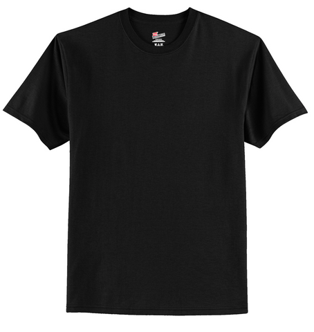 Hanes long discount tail t shirt