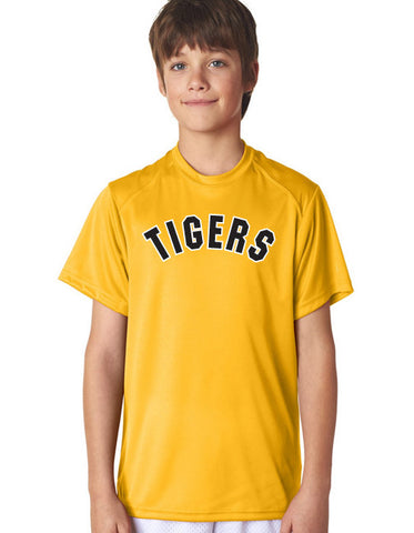 tigers batting practice jersey